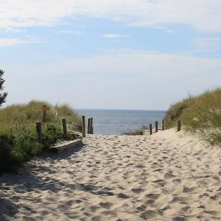 Bernsteinfinder Staedtische Bestlage * Ribnitz-Damgarten