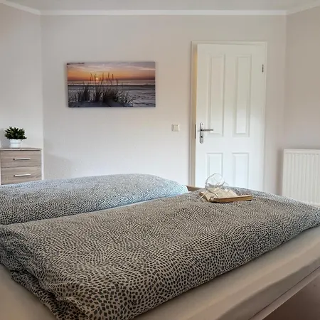 Bernsteinfinder Staedtische Bestlage Daire Ribnitz-Damgarten